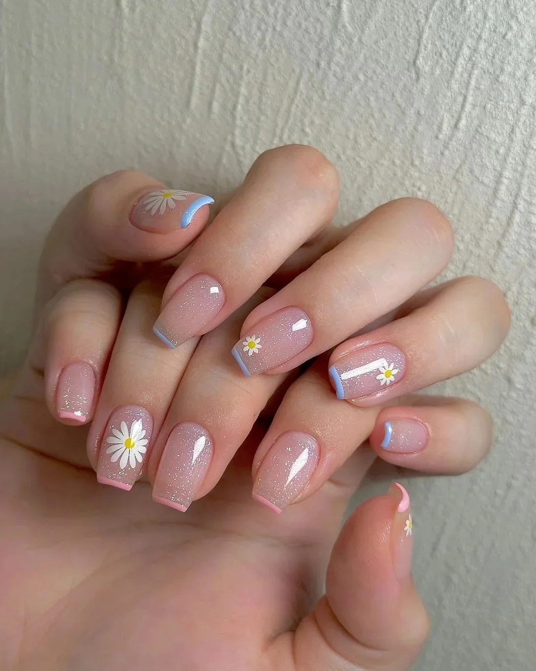 Daisy French with Shimmer